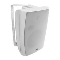 Wall Mount Speaker 100V Line